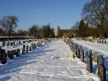 wp42540639.jpg